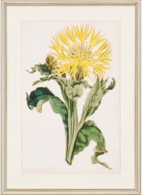 dining room accessories ideas