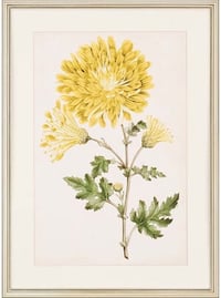 dining room accessories ideas