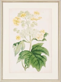 dining room accessories ideas